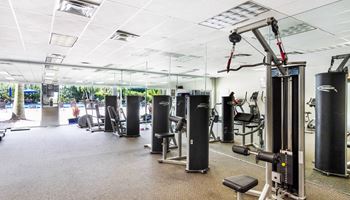 Fitness Center w/ Cardio